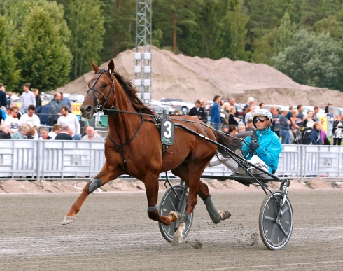 Betting Gangster gick nytt rekord när han på tisdagen vann sin årsdebut hemma på Jägersro. Foto av Maria Holmén/TR Bild